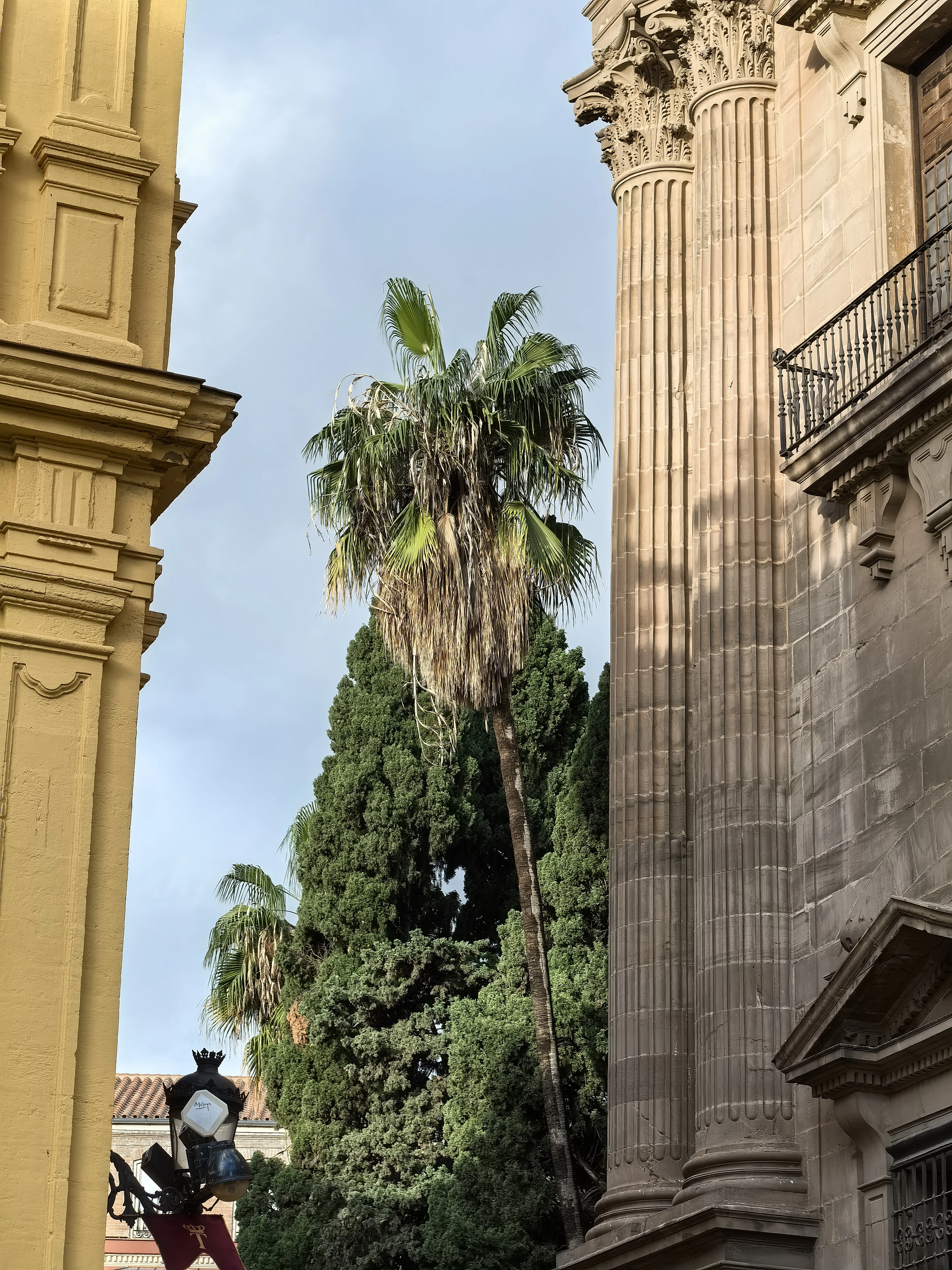 HUAWEI Pura 70 Ultra - System Aparatów - IMG_20251117_164802.webp